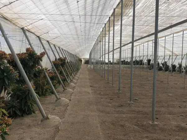 Instalación agrícola